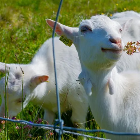 דירה Beitotind 1504 Beitostolen