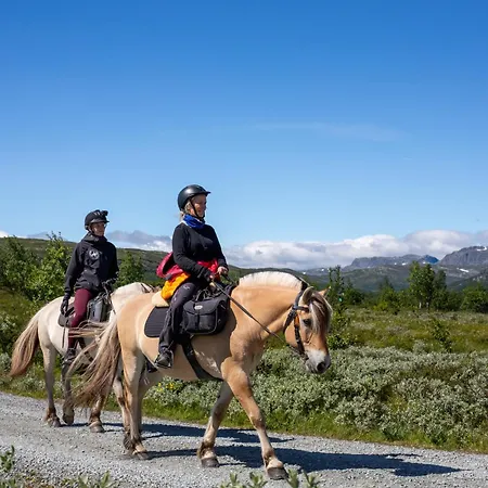 Appartamento Med God Plass Og Rullestoltilgang
